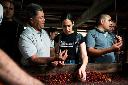 Café de Colombia Ecológico (1KG)